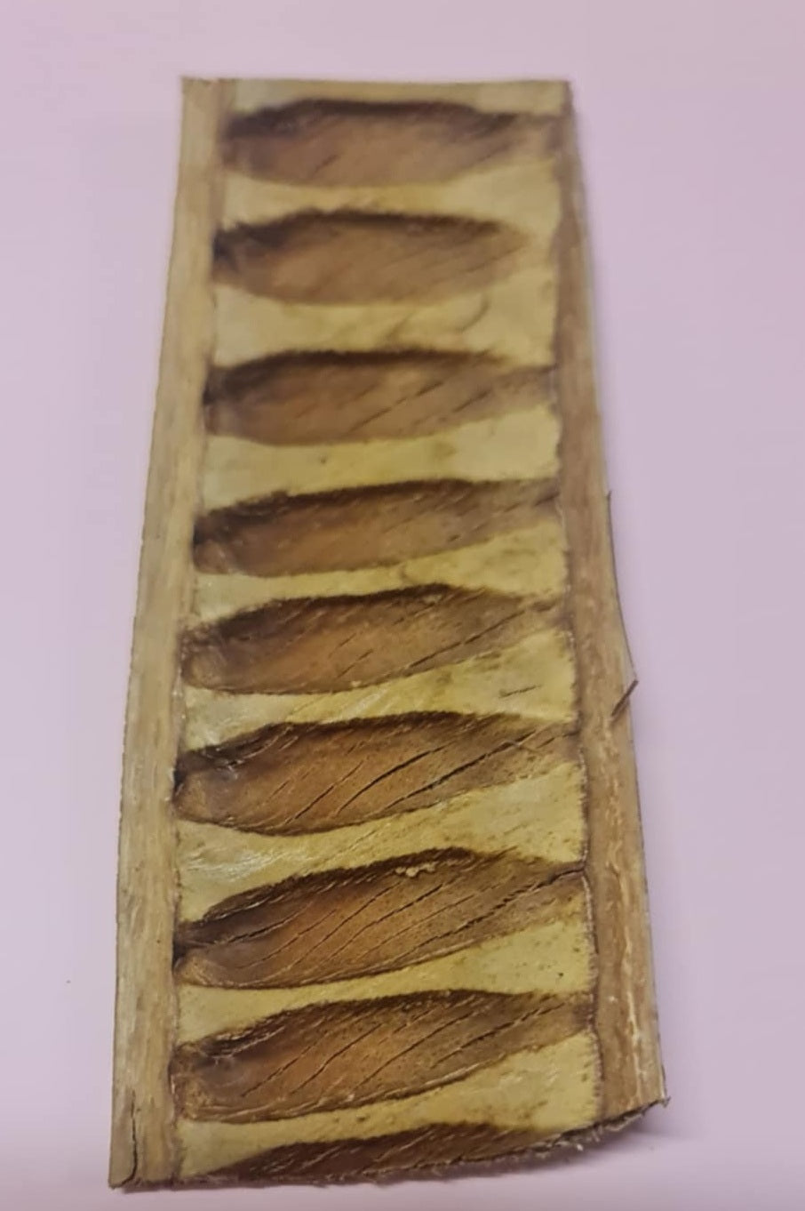Mini Natural Dried Assortment 10-13cm