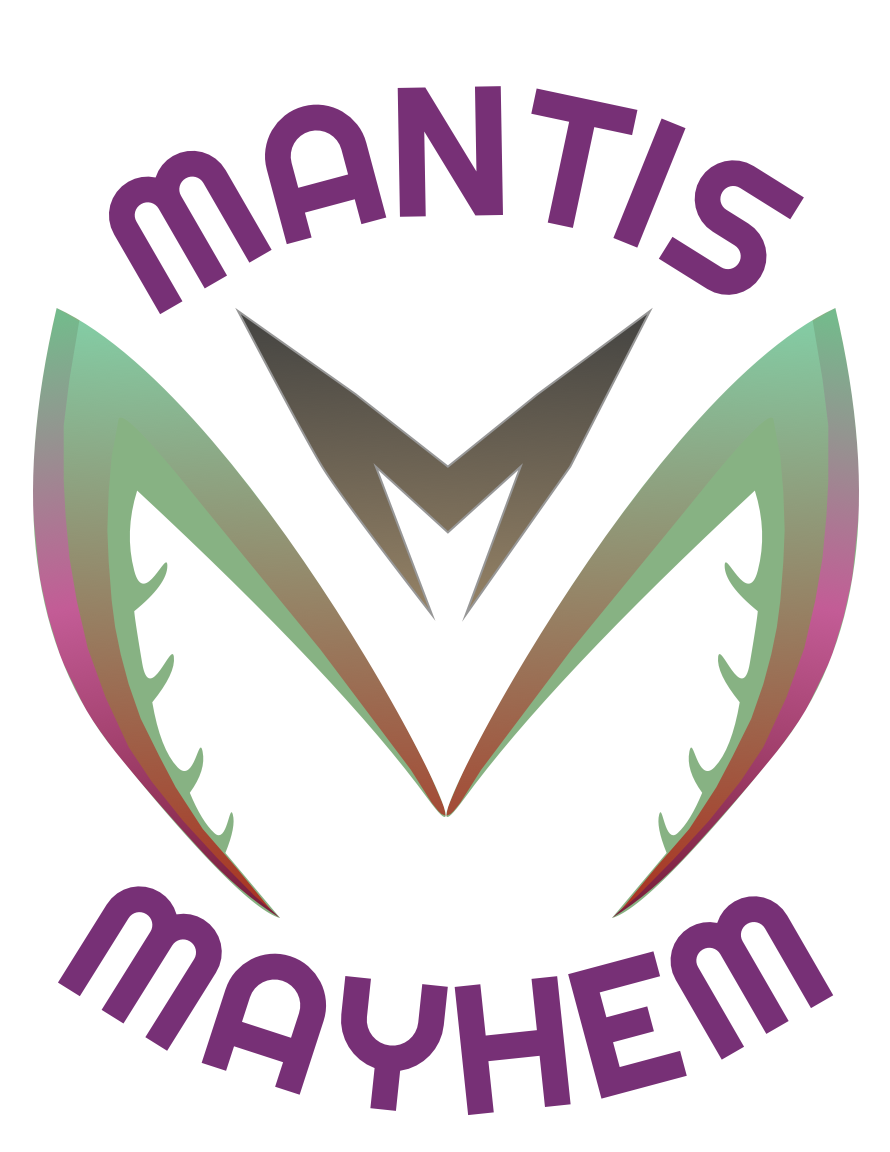 Praying Mantis for Sale UK Praying mantis breeder