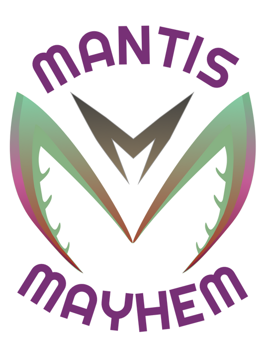 Praying Mantis for Sale UK Praying mantis breeder