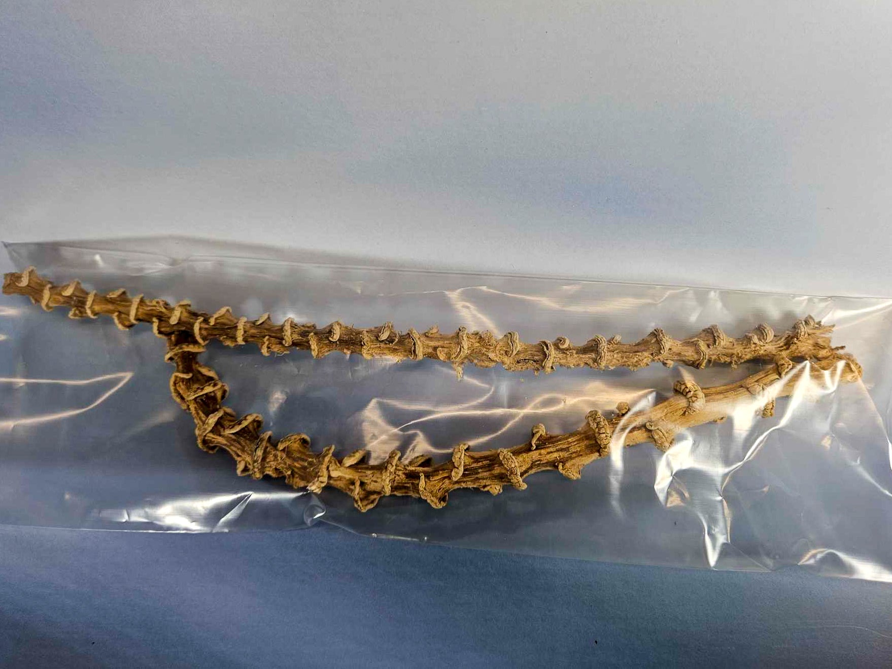 2 x Dried Banana Stems