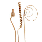 Natural Dried Decor Pack