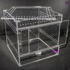“Large 200mm terrestrial enclosure for spiders, beetles, and isopods”

“Clear acrylic invertebrate tank with sliding door and ventilation”

“Spacious display enclosure for larger ground-dwelling species”