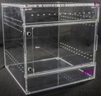 “Medium 150mm clear acrylic cube enclosure for terrestrial inverts”

“Spider enclosure with sliding door and ventilation for beetles”

“Stackable insect display box for true spiders and millipedes”