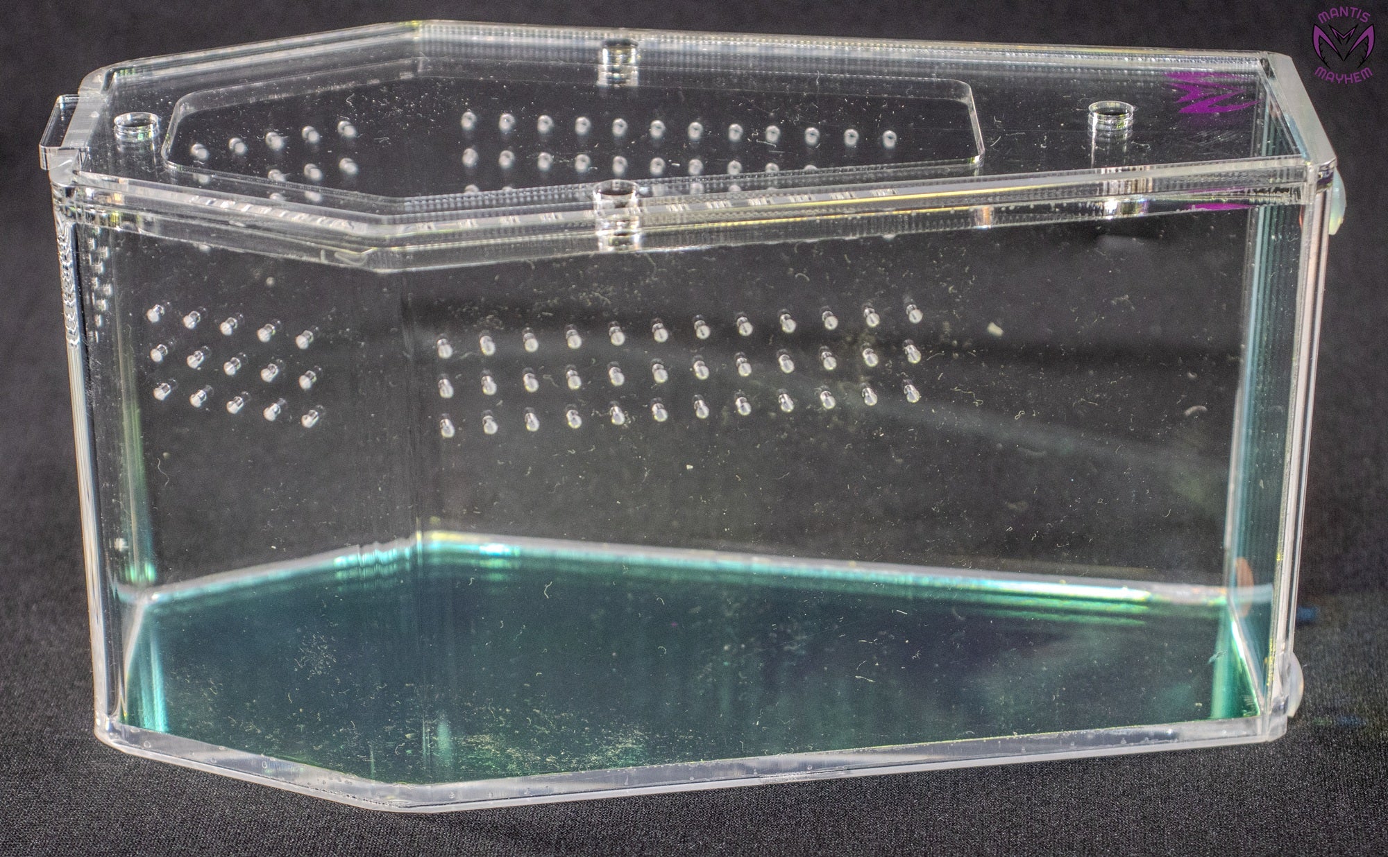 “Small rainbow coffin-shaped spider enclosure with front opening”

“Vertical clear coffin spider tank with rainbow base”

“Compact coffin enclosure for jumping spiders with ventilation”

“Reflective rainbow spider cube for arboreal invertebrates”