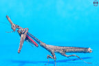 Phyllothelys breve - Giant ghost mantis Mantis Mayhem