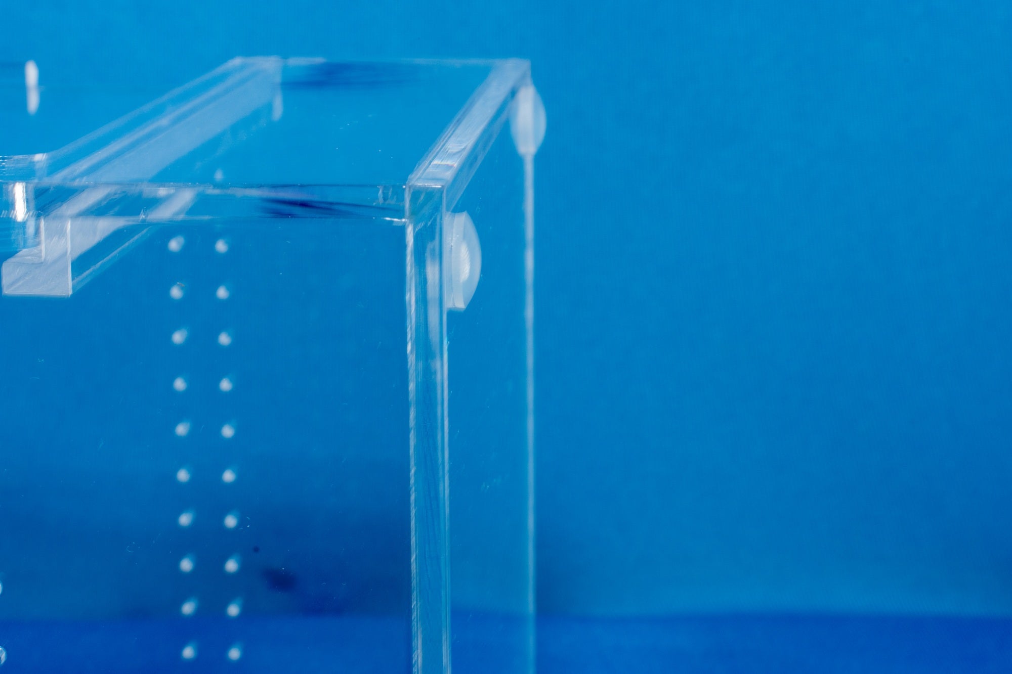 Small Dual lid Arboreal (100x100x150mm)