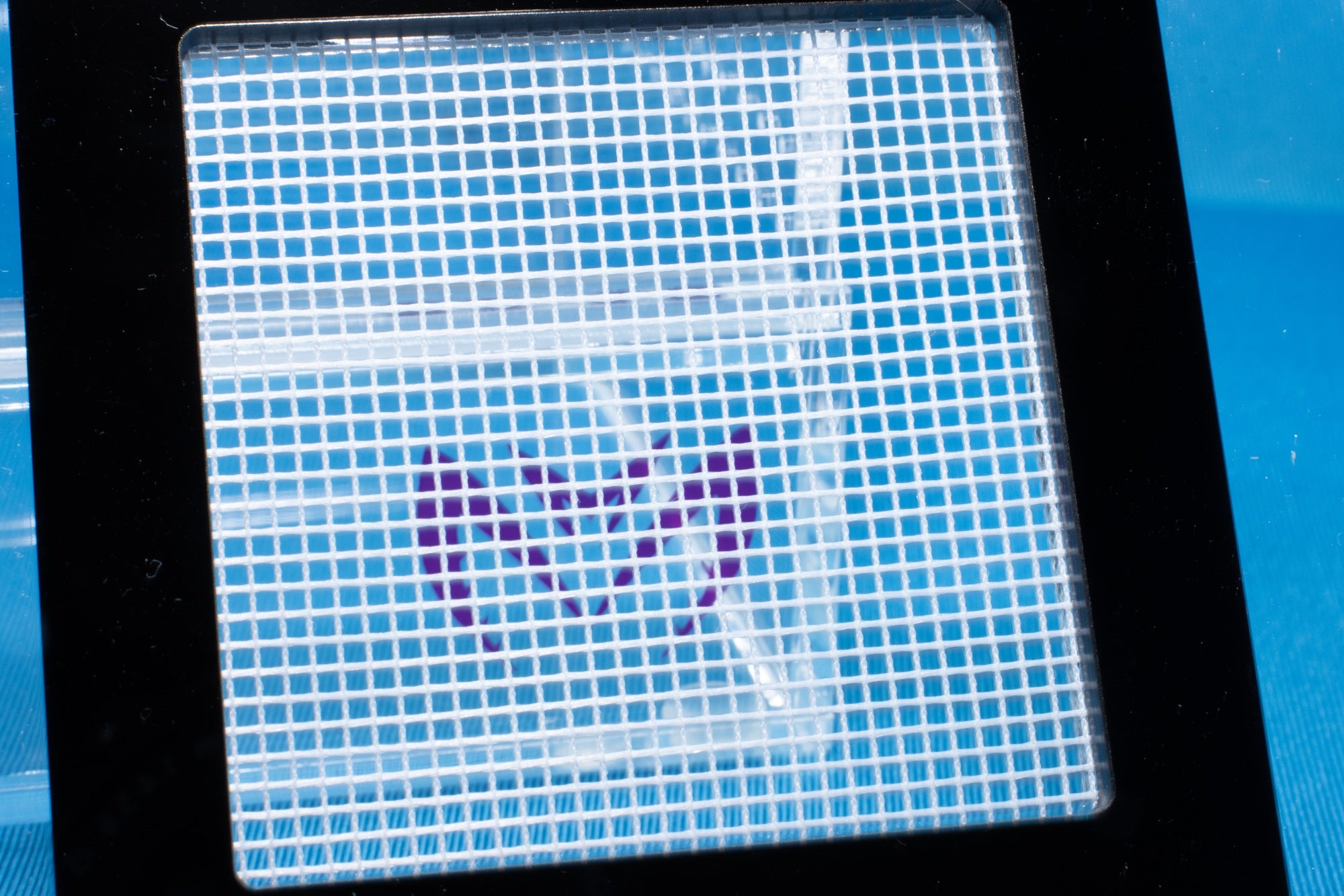 Medium Dual lid Arboreal (150x150x200mm)