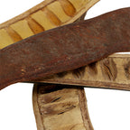 Natural Dried Decor Pack