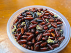 Green, Blue Bottle Fly Pupae Mantis Mayhem